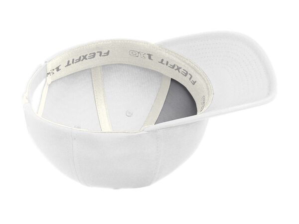 Inside of the CLEO hat