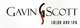 Gavin Scott Salon & Spa Logo